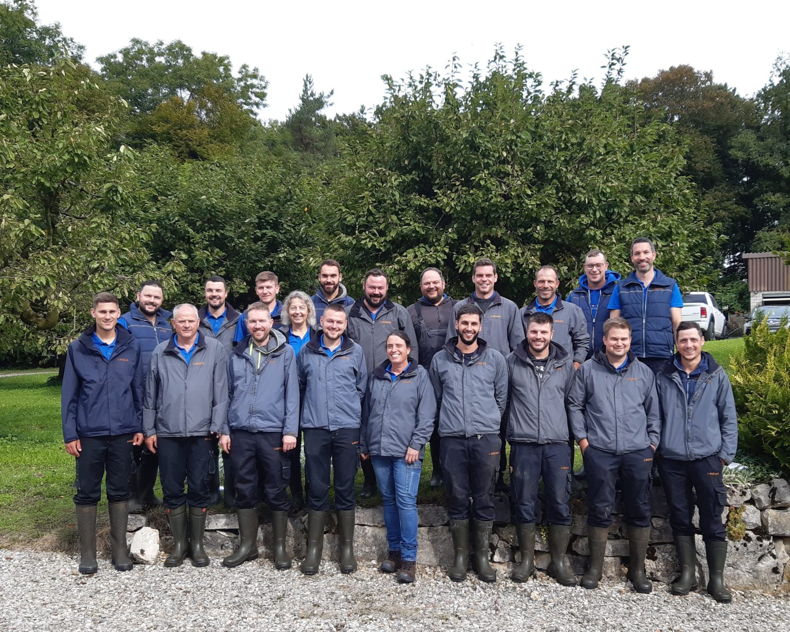 Linear - Mitarbeiter